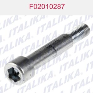 TORNILLO ESPECIAL M10