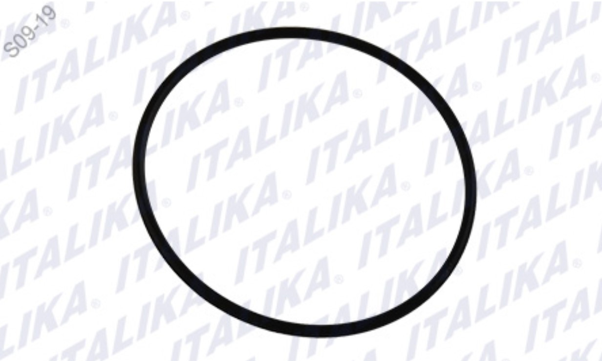 O-RING 31.5x1.25