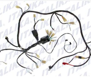 ARNES ELECTRICO PRINCIPAL