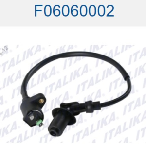 BOBINA DE ALTA / IGNICION DS150 PZA