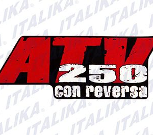 ETIQUETA ATV250 CON REVERSA