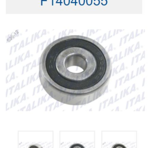 BALERO RADIAL DE BOLAS 6300