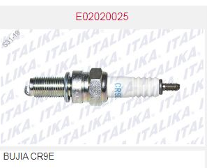 BUJIA CR9E